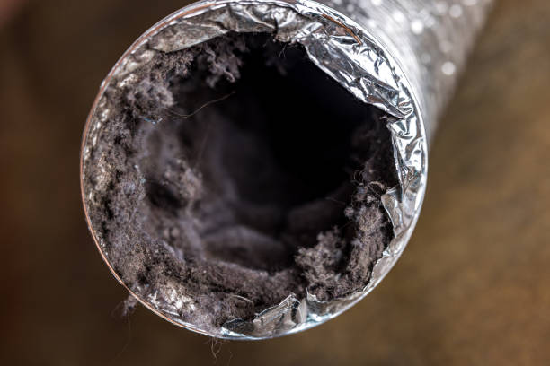 Best Commercial Air Duct Cleaning  in Oak Harbor, WA